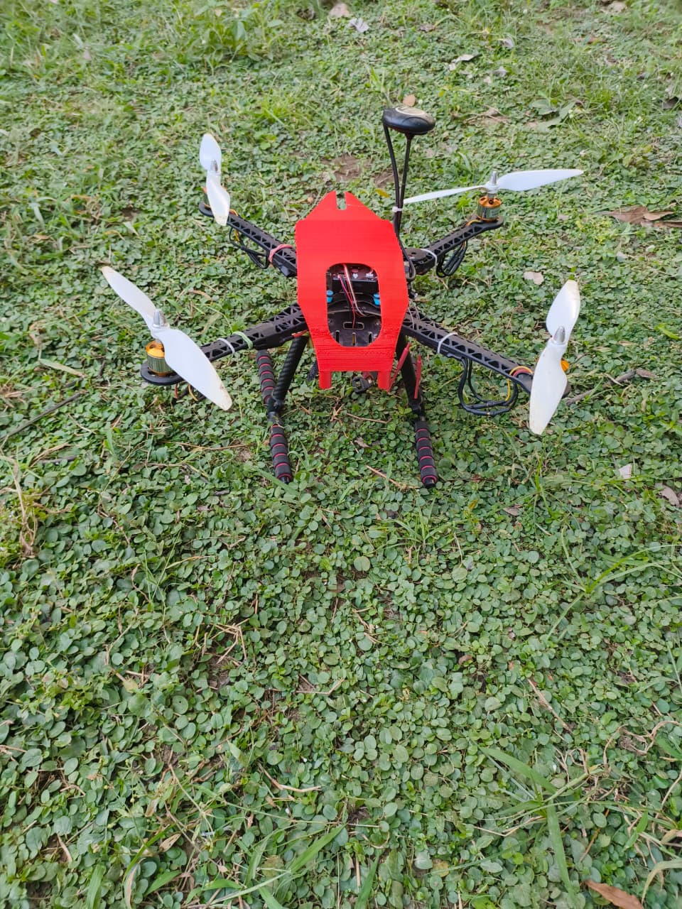 Red Dragonfly Project